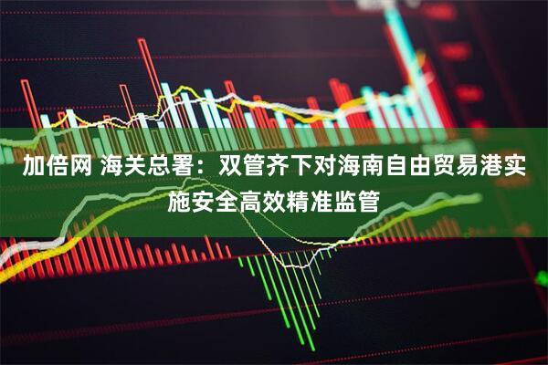加倍网 海关总署：双管齐下对海南自由贸易港实施安全高效精准监管