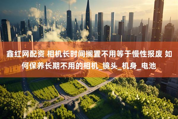 鑫红网配资 相机长时间搁置不用等于慢性报废 如何保养长期不用的相机_镜头_机身_电池
