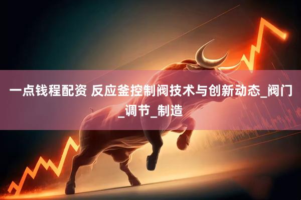 一点钱程配资 反应釜控制阀技术与创新动态_阀门_调节_制造