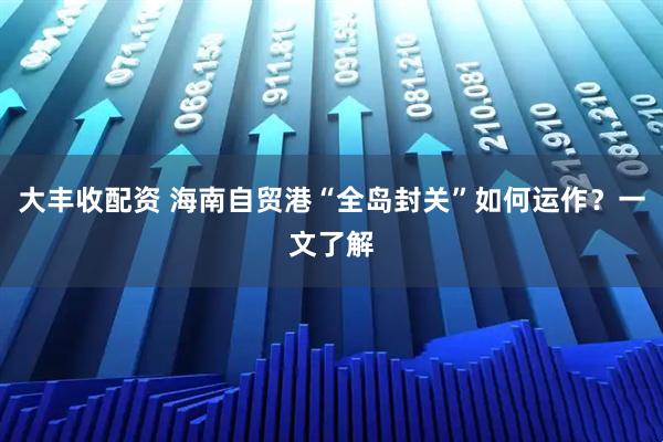 大丰收配资 海南自贸港“全岛封关”如何运作？一文了解