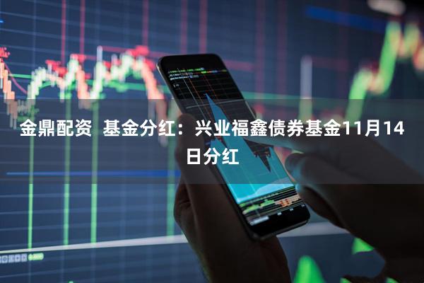 金鼎配资  基金分红：兴业福鑫债券基金11月14日分红